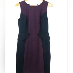 Sleeveless Purple and Black Colorblock Sheath Dress